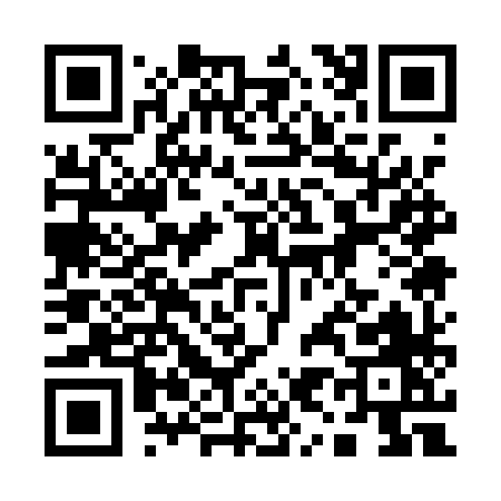 QR code for 1911X