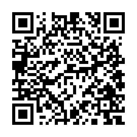 QR code for 19666