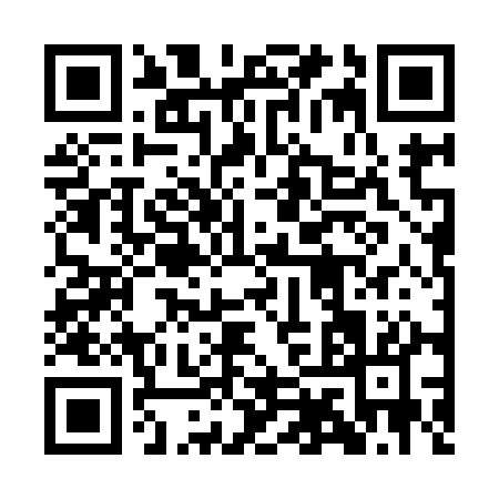 QR code for 1IR91