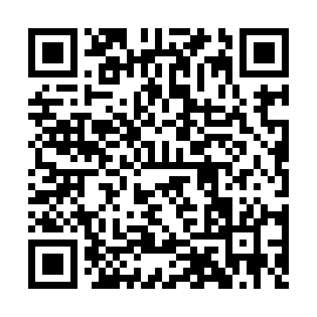 QR code for 1IZ91