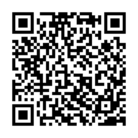 QR code for 1PF317