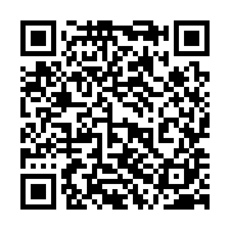 QR code for 1PO381
