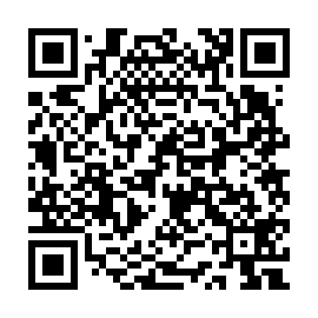 QR code for 1SR619