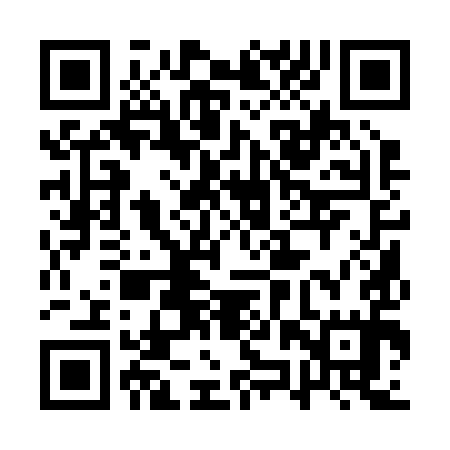 QR code for 1ZQ295