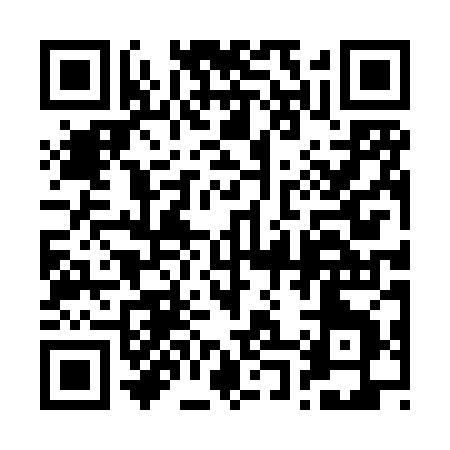 QR code for 2008Z