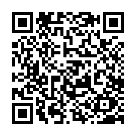 QR code for 2009