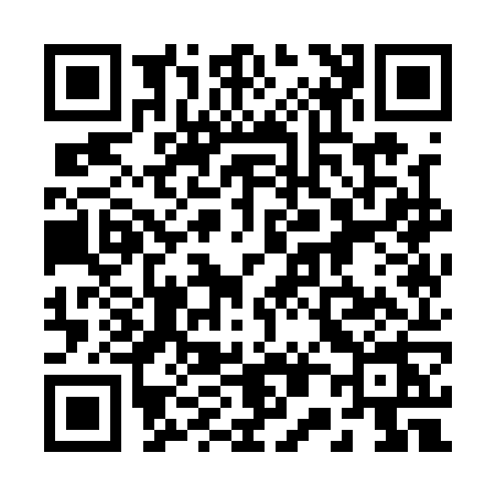 QR code for 2011