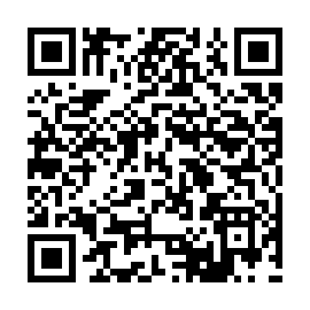 QR code for 2013P