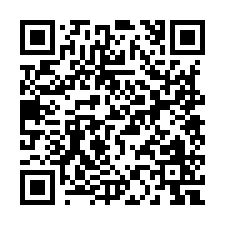 QR code for 20291