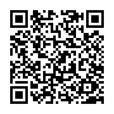 QR code for 2045