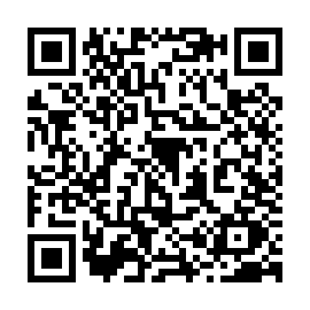QR code for 206P