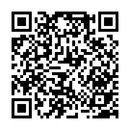 QR code for 21313