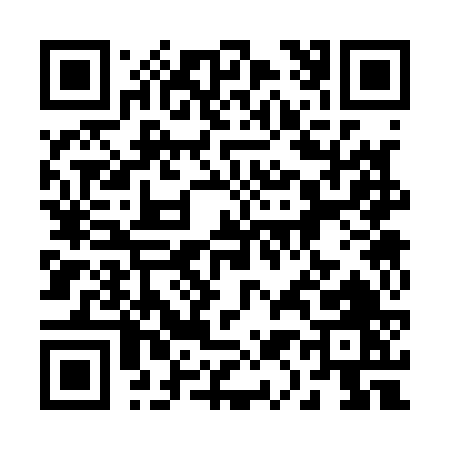 QR code for 21316
