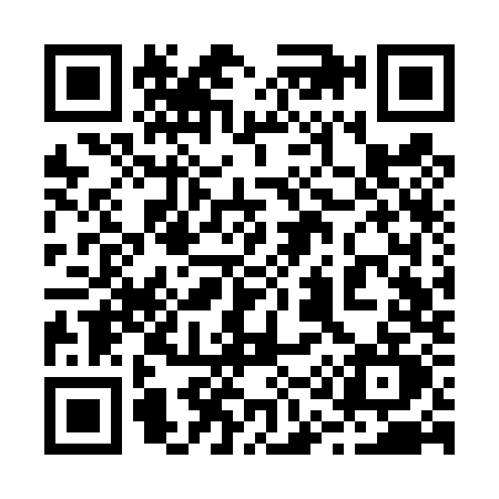 QR code for 213T