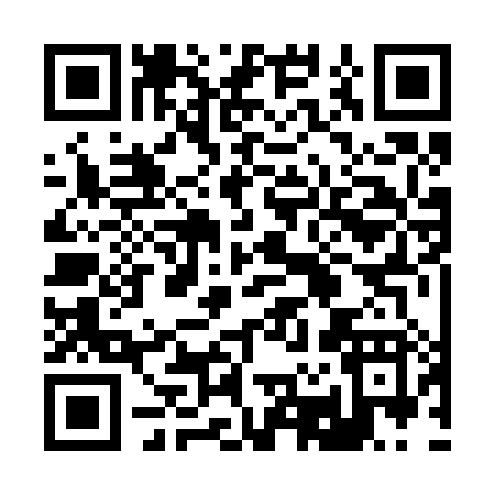 QR code for 22228