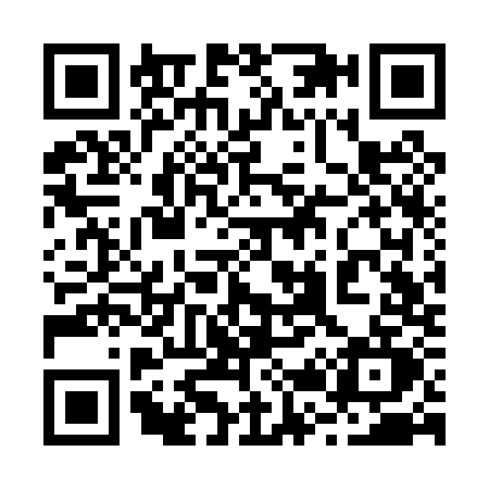 QR code for 223P