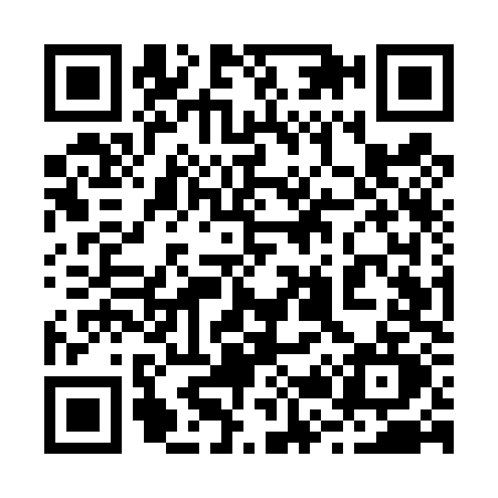 QR code for 225T