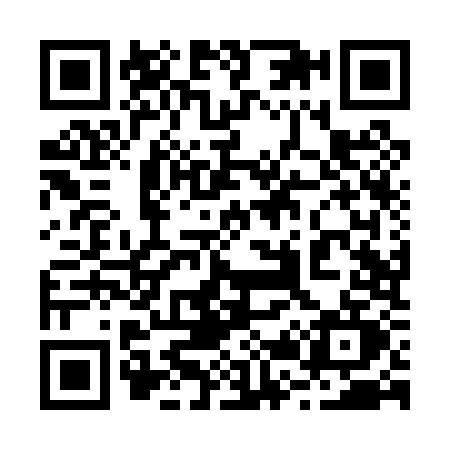 QR code for 228P