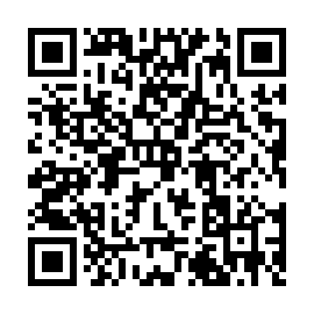 QR code for 2291P