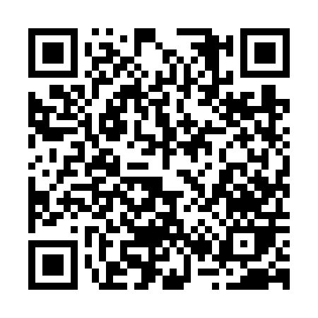QR code for 2296P