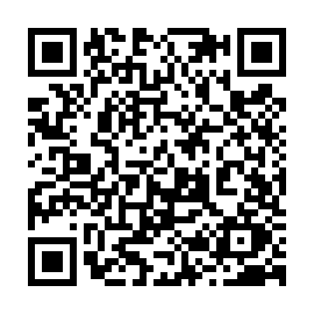 QR code for 229T