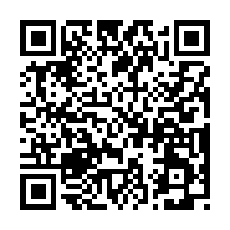 QR code for 2333T