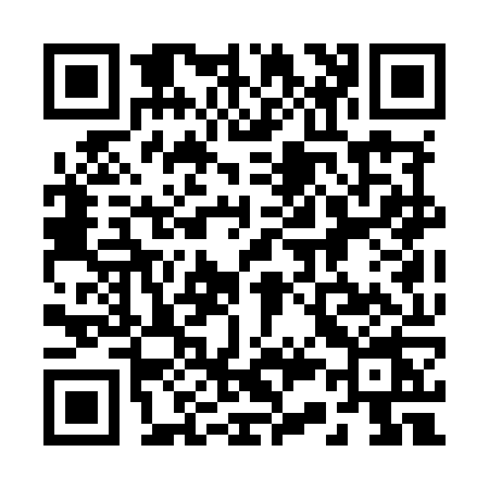 QR code for 233M