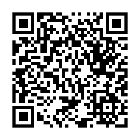 QR code for 2453Q