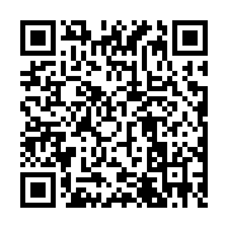QR code for 2463X