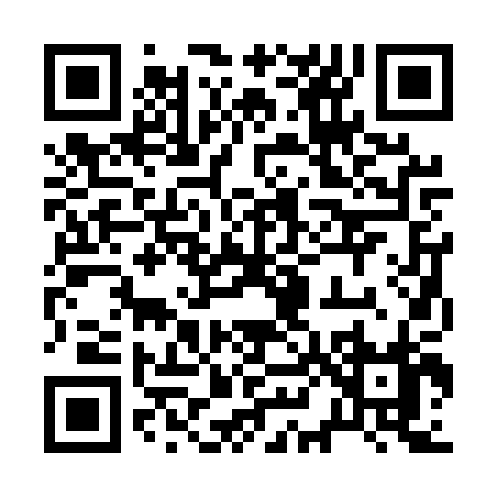 QR code for 2825P