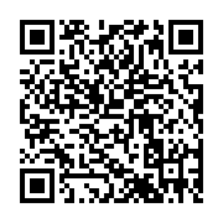 QR code for 29001