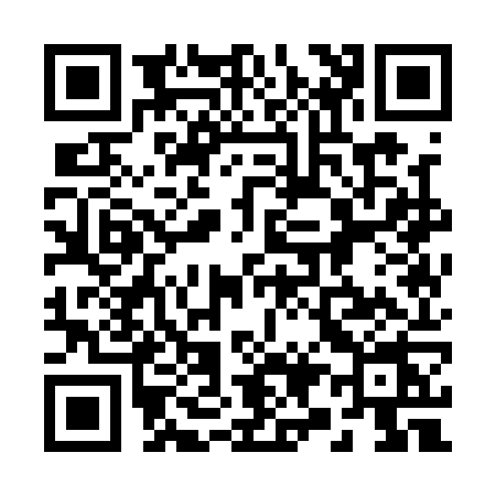 QR code for 2911