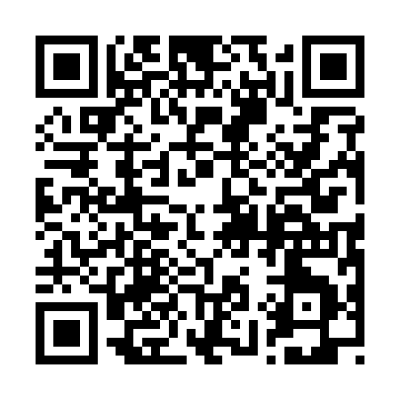 QR code for 29119