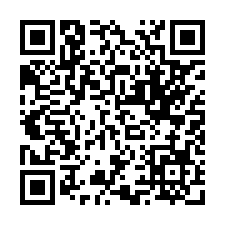 QR code for 2918P