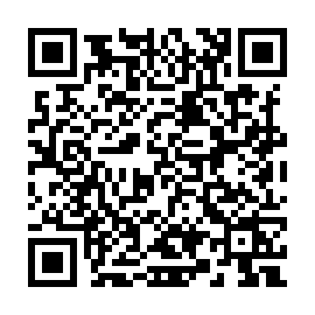 QR code for 291I