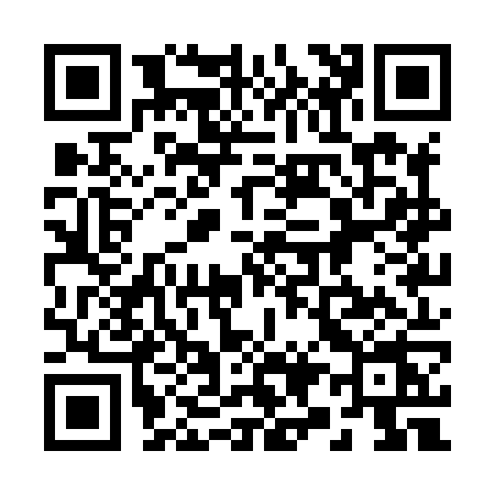 QR code for 291X