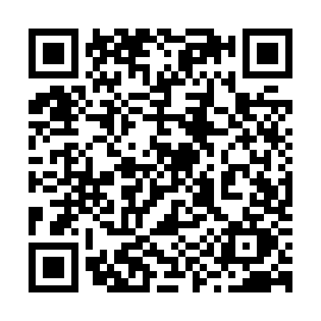QR code for 291Z