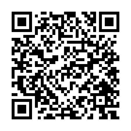 QR code for 2925T