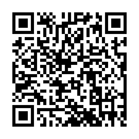 QR code for 29310