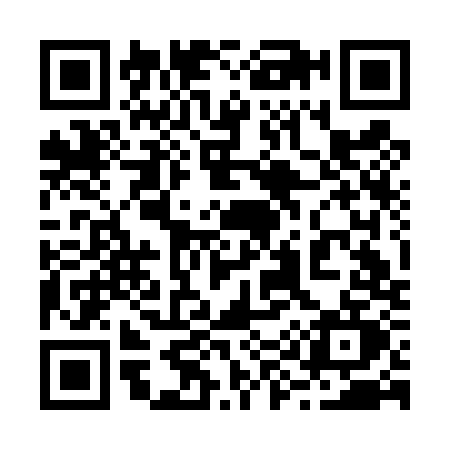 QR code for 293D