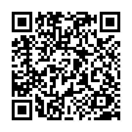 QR code for 293M