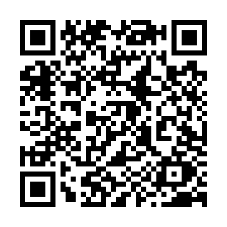 QR code for 294G