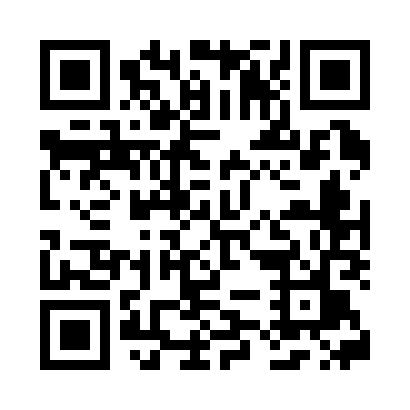 QR code for 295