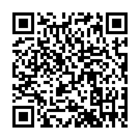 QR code for 29513