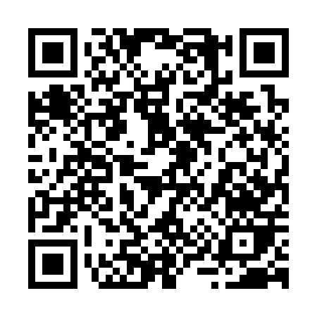 QR code for 29530