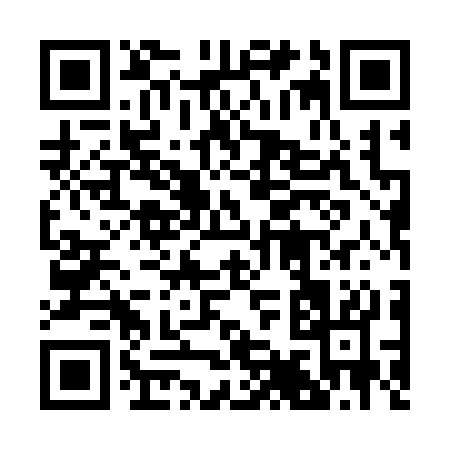 QR code for 29533