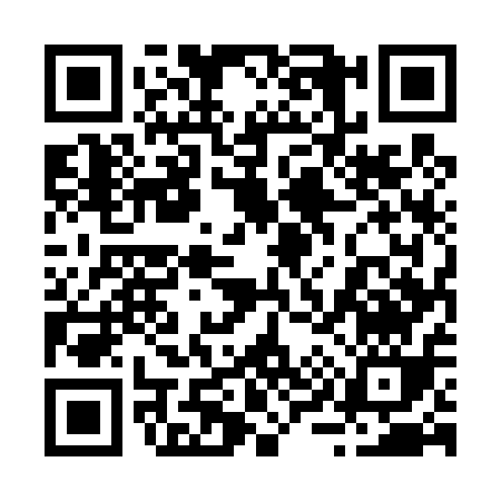 QR code for 29541