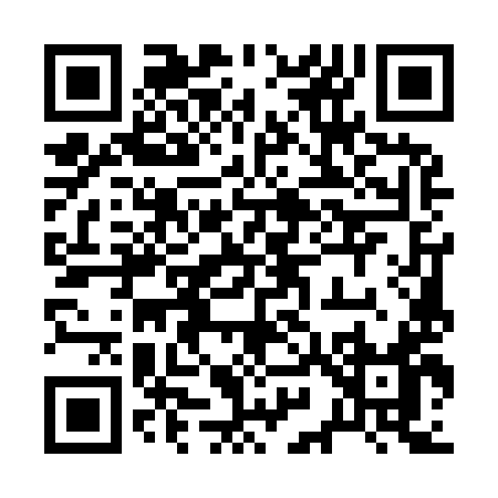QR code for 29599