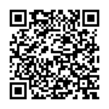 QR code for 295K