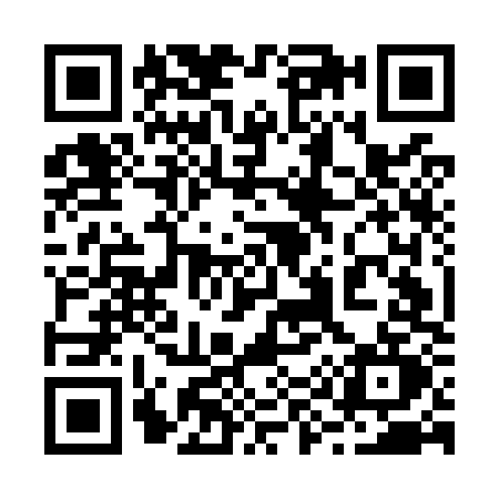QR code for 295O